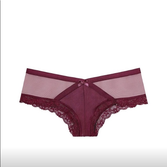 NWT Victoria’s Secret Mesh Detail Cheeky Panties - Picture 4 of 4